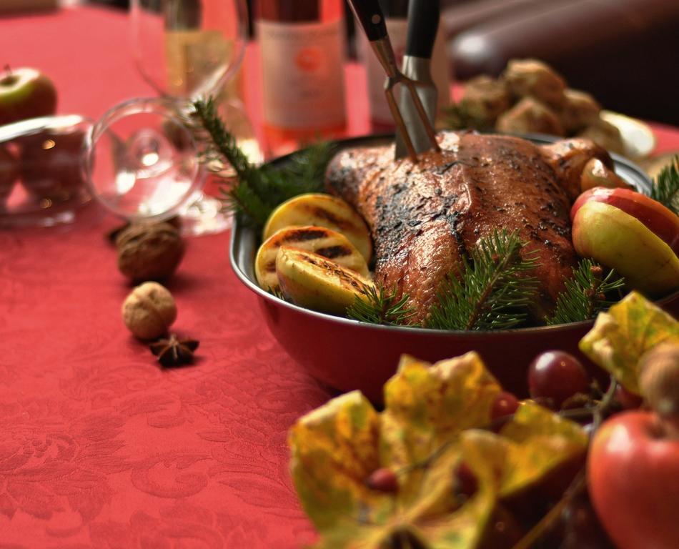 Ambassador Zlata Husa Prága Kültér fotó A Christmas goose